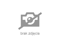 Peugeot 308 - zobacz ofertę